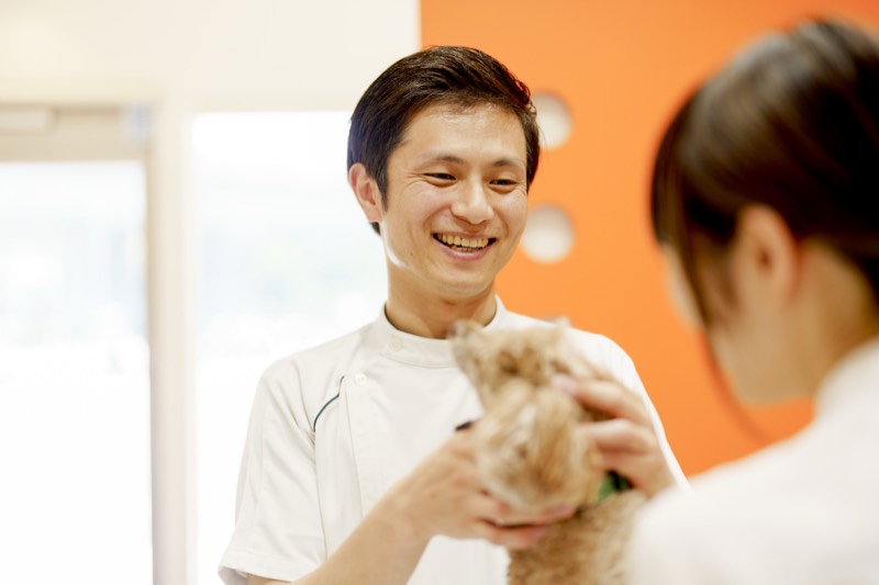 スタッフが動物と接する様子